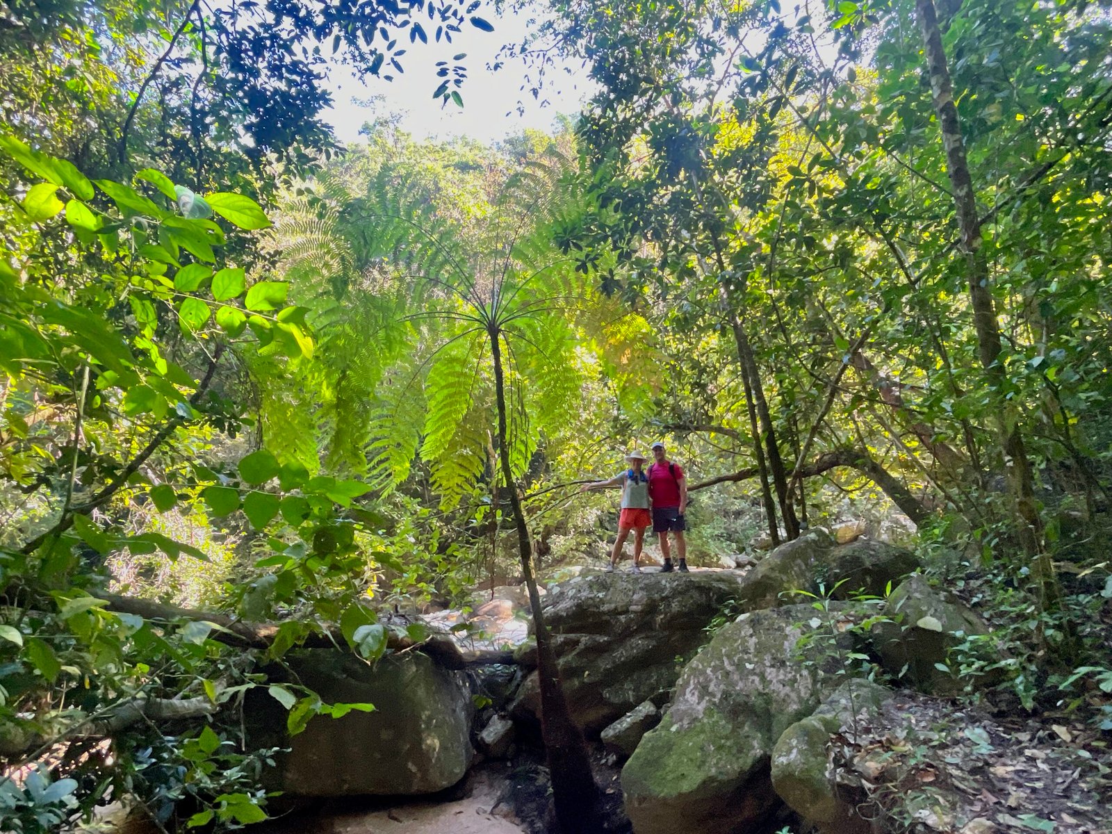 Jungle adventure in the Sierra Madre mountains near Mismaloya