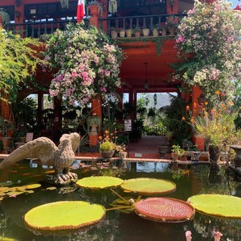 Hacienda de Oro Restaurant at Vallarta Botanical Garden