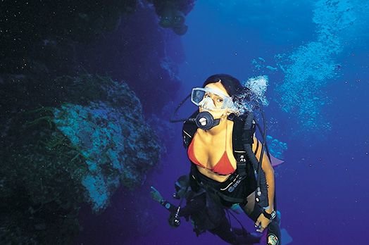 Scuba diving tour at Los Arcos from Mismaloya Beach