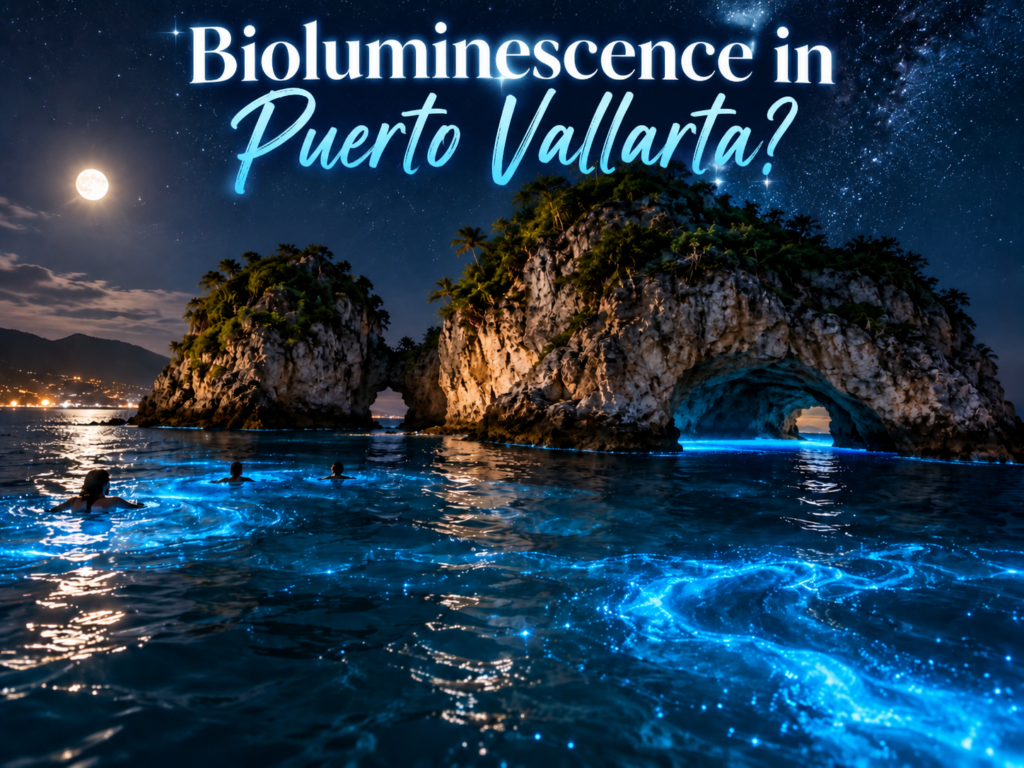 Bioluminescence-in-Puerto-Vallarta